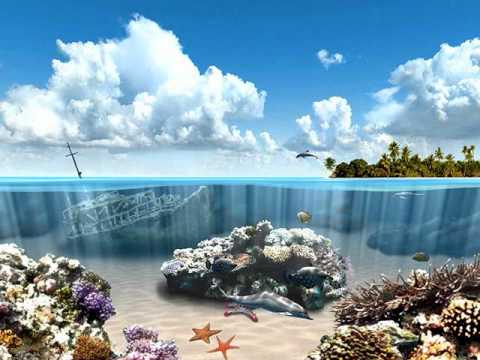 Ser amado - Soraya.wmv
