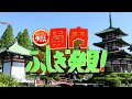 【プキフェス2023】なんで動物園に日本庭園があるの？？【世界ふしぎ発見】