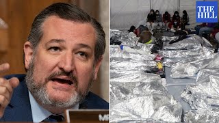 'Has Joe Biden Seen The Biden Cages?' Cruz Slams Mayorkas On Immigrant Detention Centers