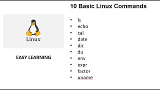 Basic Linux Commands - ls, echo, cal, date, dir, du, env, expr, factor, uname