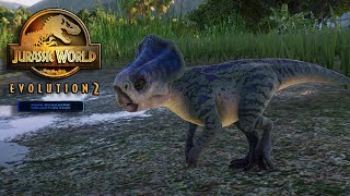 The Ceratopsian Pug: Microceratus |Jurassic World Evolution 2|