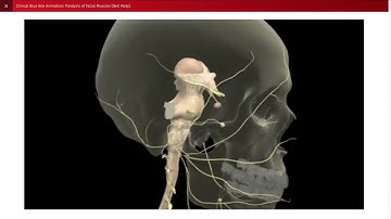 Lippincott® Connect offers a personalized approach to learning for each student