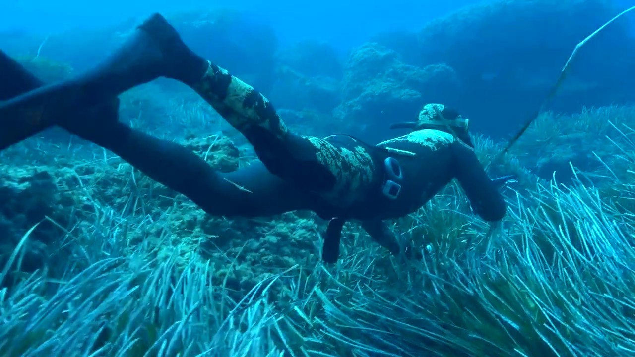 OPEN CAS S'EMBARCADOR IBIZA 2017