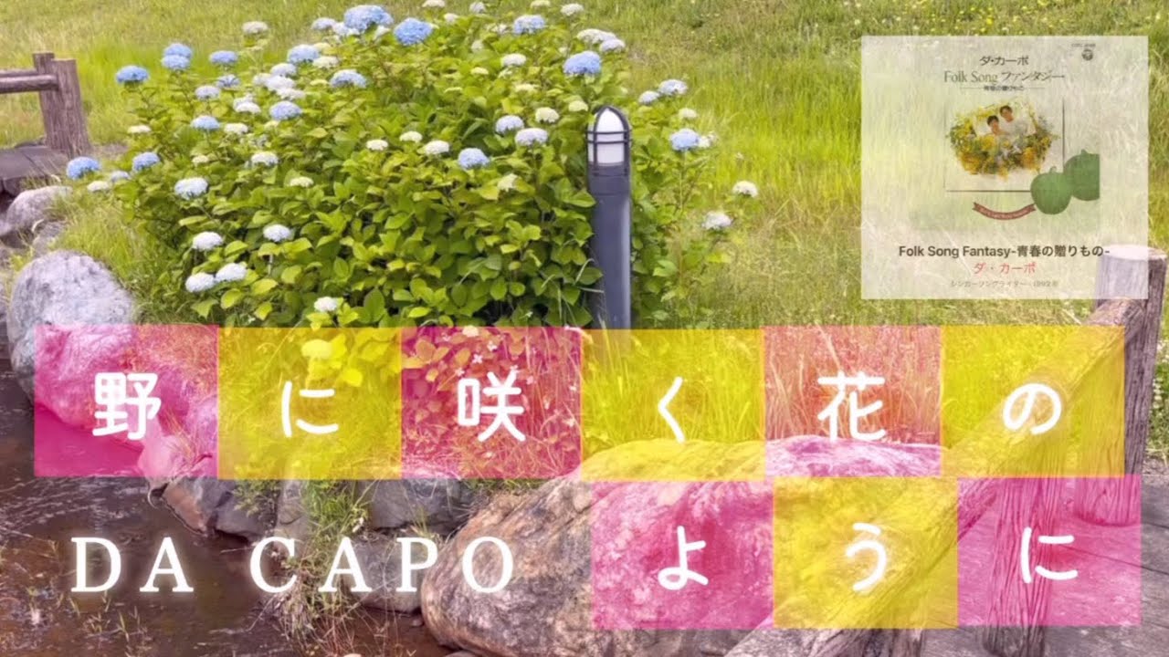 野に咲く花のような旅路