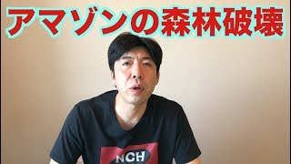 アマゾンの森林破壊