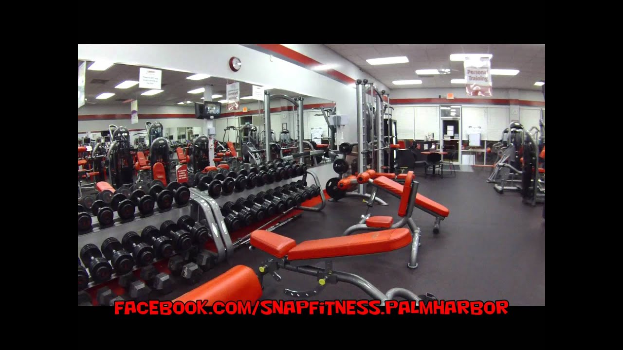 Snap Fitness Palm Harbor YouTube