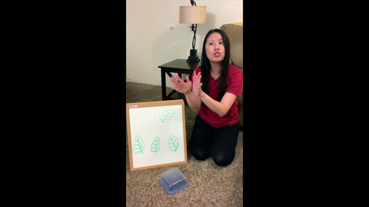 In All Kinds of Weather-Five Little Leaves