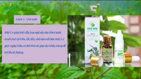 Tinh dầu Hoa ngũ sắc - Hoa Nén