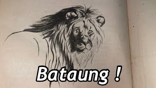 BASOTHO CLAN NAMES 🇱🇸 : SEBOKO SA BATAUNG ! 🦌 | Kekeletso Qhali