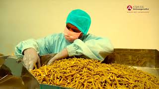 From Roots to Shelf: The Vertical Integration Journey of KSM-66 Ashwagandha