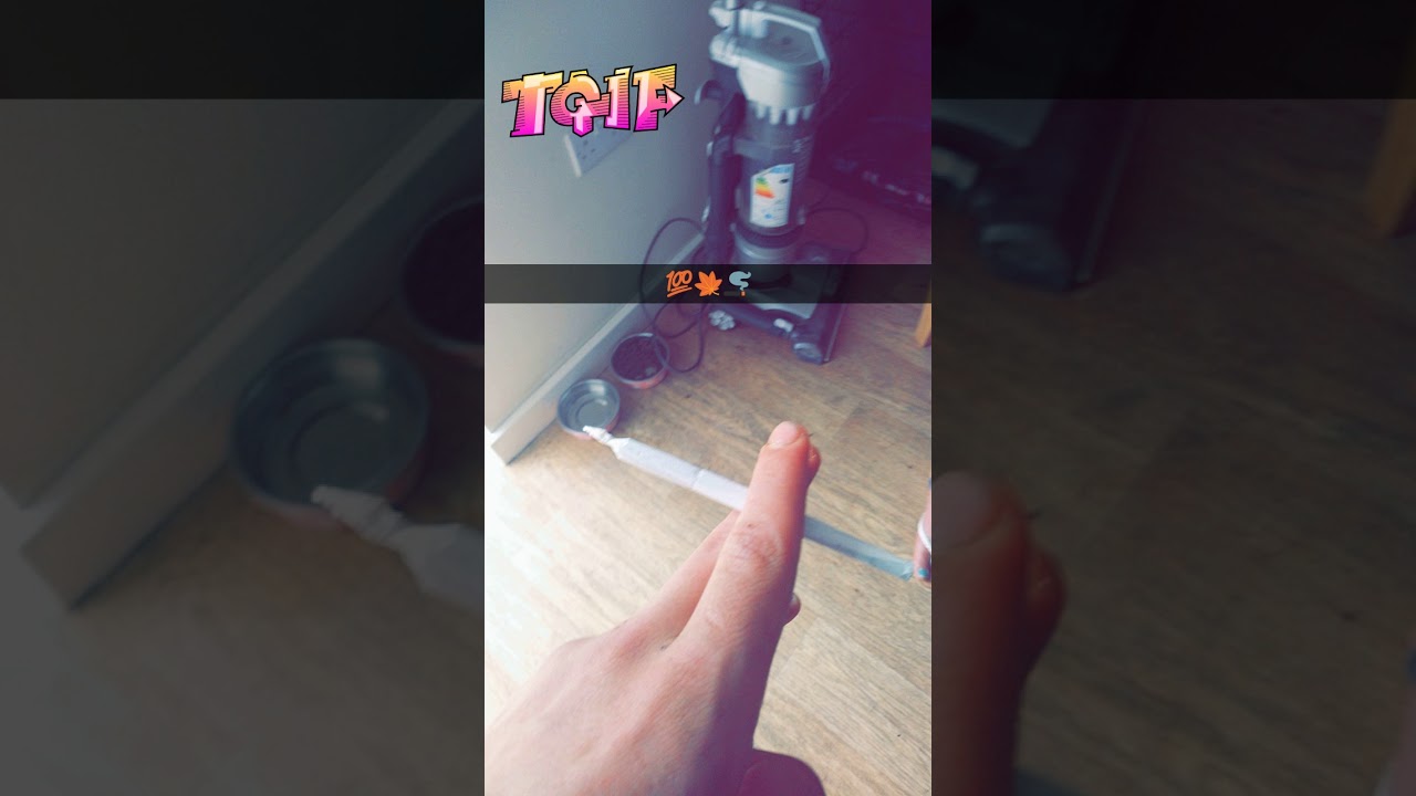 Yung thief hidden scars (snippit)