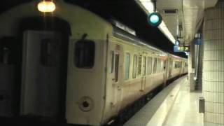 TRA EMU100 Tze-Chiang Express 2010.02.14