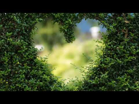 I GOTIKA - IL GIARDINO DELL' AMORE (SICULAND REMIX) ITALODANCE 2010