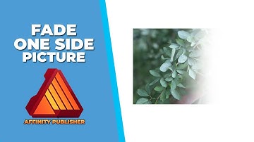 How to fade one side of a picture in Affinity publisher