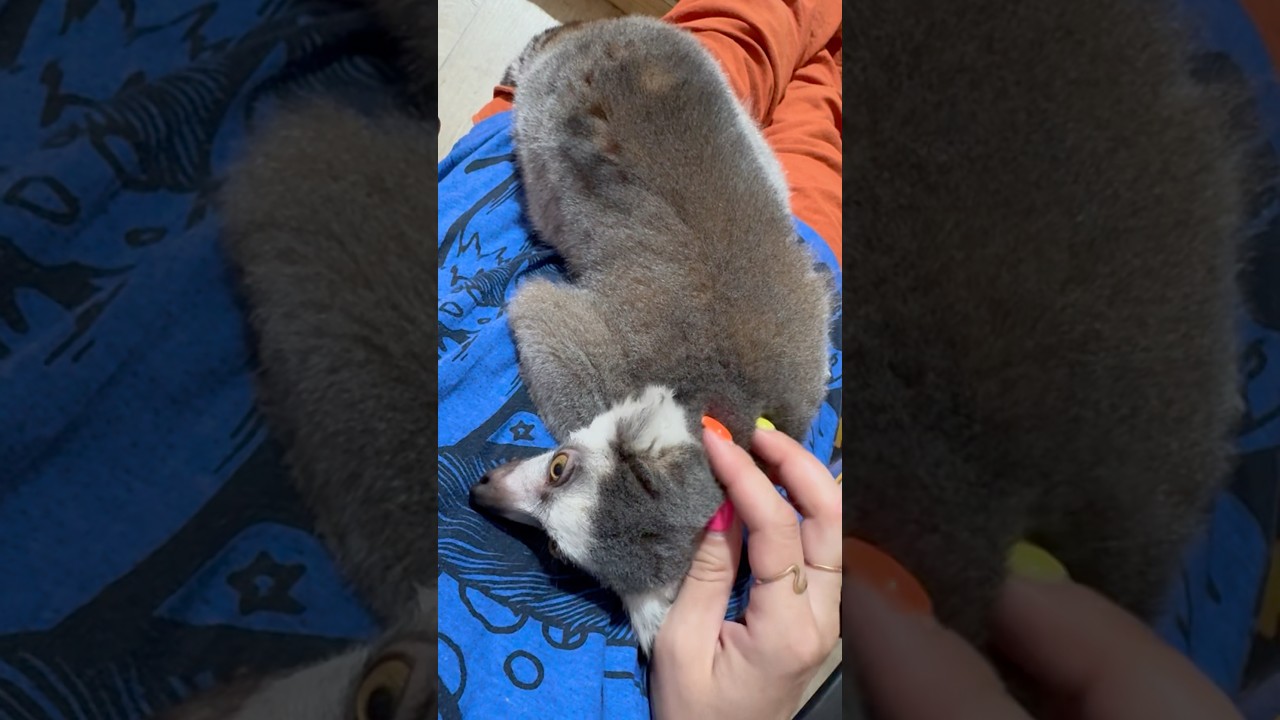 Rastishka is getting high🥰