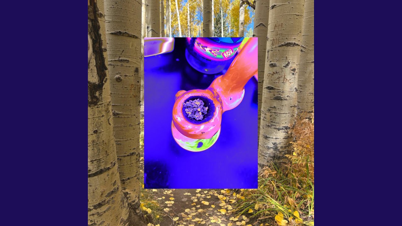 Puffin' in the Pines