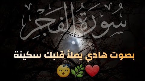 سورة الفجر كاملة _ بصوت هادي يريح القلوب 😴❤️🌿#القرآن_الكريم #quran