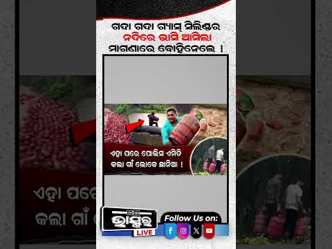 ନଦୀରେ ଭାସି ଆସିଲା ଗଦା ଗଦା LPG ଗ୍ୟାସ୍ ସିଲିଣ୍ଡର୍ #ytshorts #shortsvideo #lpggascylinder