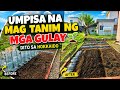 Backyard Vegetable Garden sa Hokkaido Japan 🌱