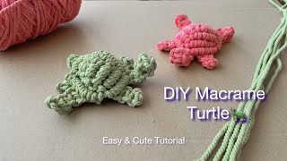 DIY Macrame Turtle 🐢 | Easy & Cute Tutorial for Beginners