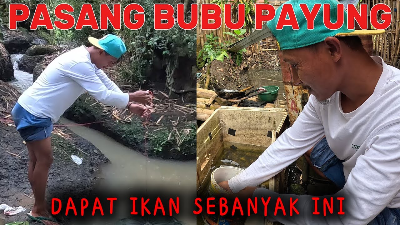 PASANG BUBU , DAPAT IKAN SEBANYAK INI 
