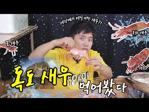 세상에서 제일 비싼?! 초거대 독도새우 3종 다 먹어봄! 대박 맛있음! (도화새우, 닭새우, 꽃새우) - 허팝(the most expensive giant shrimp)