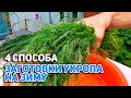 ЗИМОЙ УКРОП НЕ ПОКУПАЮ ЗАГОТОВКА ЗЕЛЕНИ НА ЗИМУ /ВКУСНАЯ ЗАПРАВКА В ЛЮБЫЕ БЛЮДА @Обо всем с Марусей