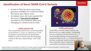 Solutions for SARS CoV 2 Strain Lineage Surveillance