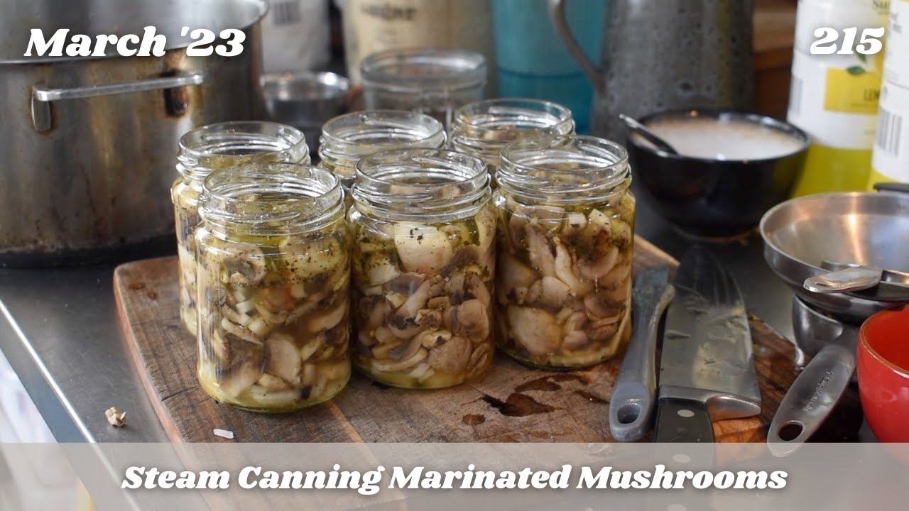 Steam Canning Marinated Mushrooms - Preserving Mushrooms | Off Grid Australia 215