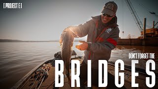 DON'T FORGET THE BRIDGES! // Project E // How to fish a bridge