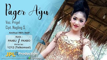 Prigel Anjarwening - Pager Ayu | Dangdut (Official Music Video)