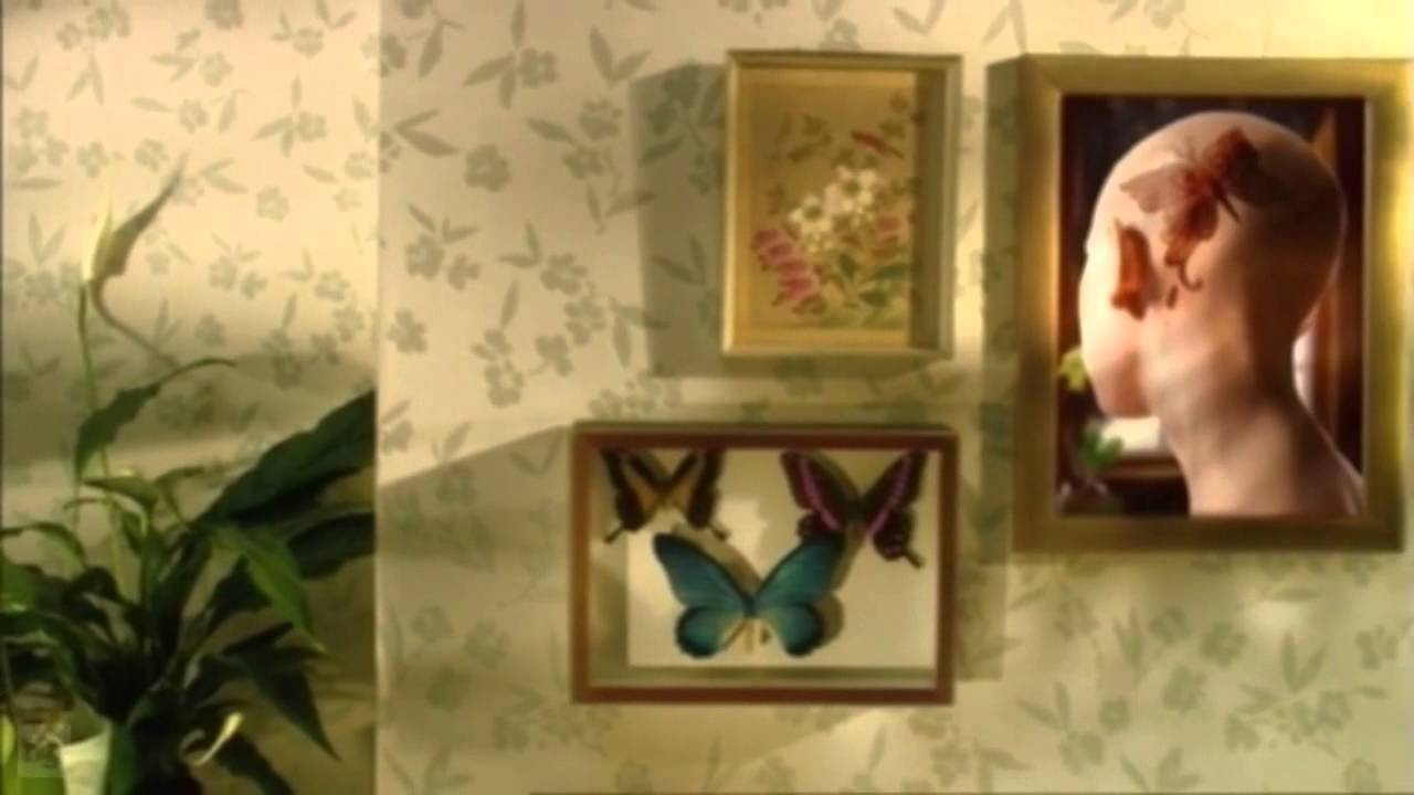 Sky Real Lives Ident