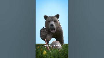 Armadillos Jump Into Oncoming Cars 😱