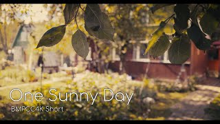 One Sunny Day | BMPCC4K Footage screenshot 3
