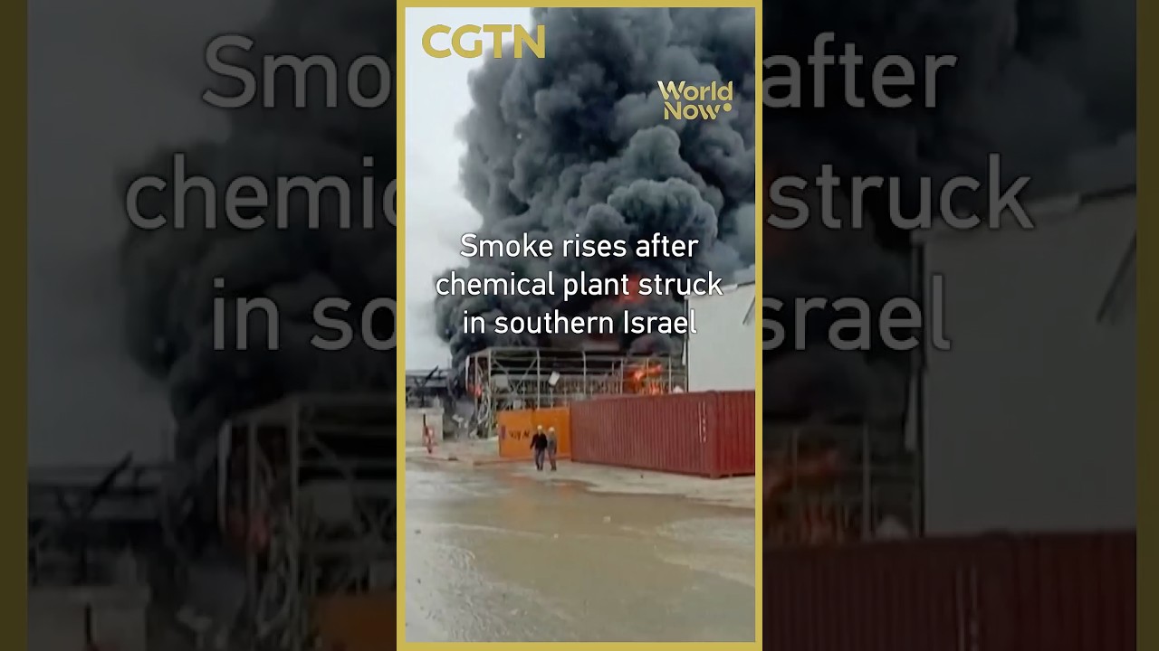 Smoke rises after chemical plant struck in southern Israel #worldnow