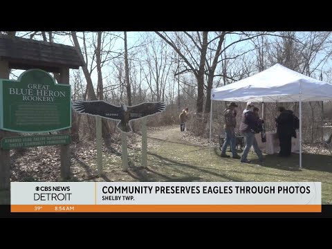 Interactive tours in Shelby Township draw crowds, photographers to see bald eagles