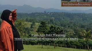 Wisata Agro Bukit Waruwangi | Tempat Wisata   Konservasi Peternakan Ala Ala Eropa 🤔 #tempatwisata