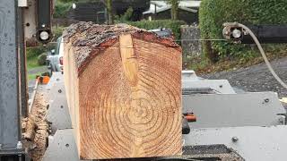 Timberwood Chopping On Sawmill