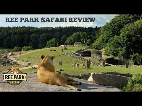 Video: Wanneer Gaat Het Safaripark In De Regio Moskou Open?