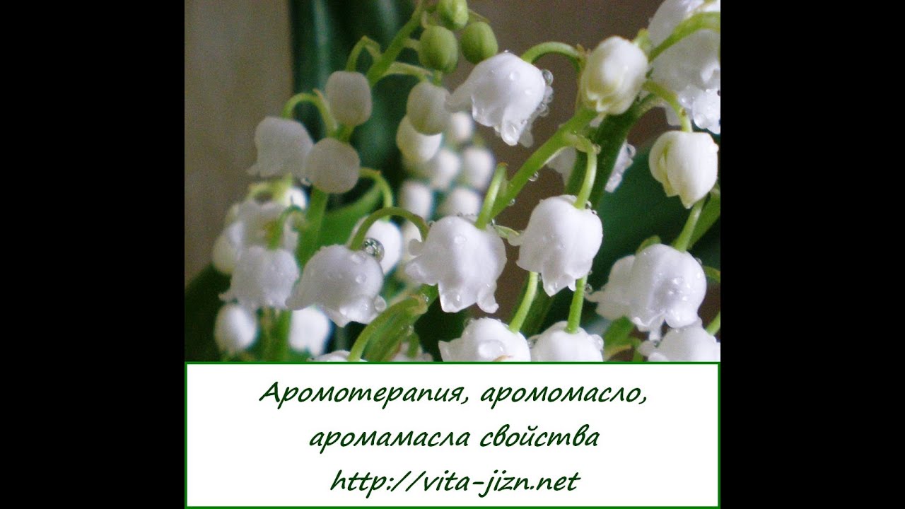 Аромотерапия, аромамасло, аромалампы, свойства эфирных масел - YouTube