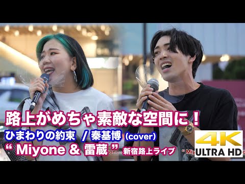 【4K】路上がめちゃ素敵な空間に！ ひまわりの約束  / 秦基博（cover） " Miyone & 雷蔵 "  2021.10.3 新宿路上ライブ 4K動画