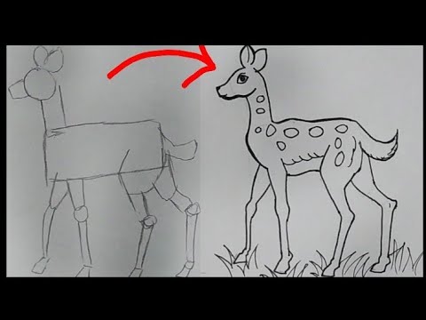 How to draw deer step by step for kids - YouTube