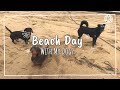 Sea beach shorts sumi vlogs 0919 season storts sea minivlog beach funny