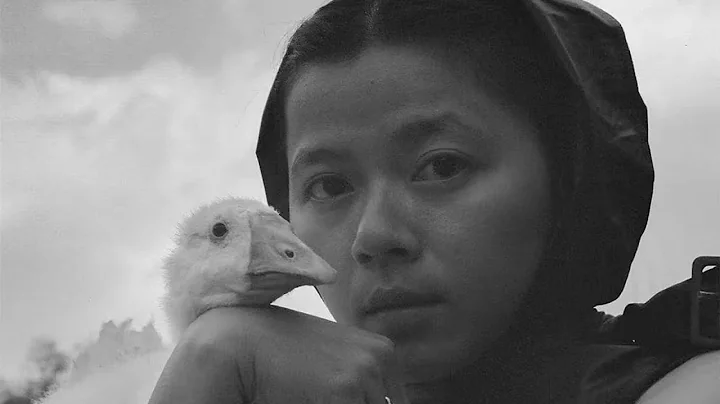 与鹅相伴的摄影师: 在废墟里就很满足，30岁的她说孤独是个好东西｜禾厂 Hechang｜孤岛之歌 The Song of Loneliness - DayDayNews