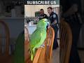 This Parrot Snitched on the Gardener #shorts