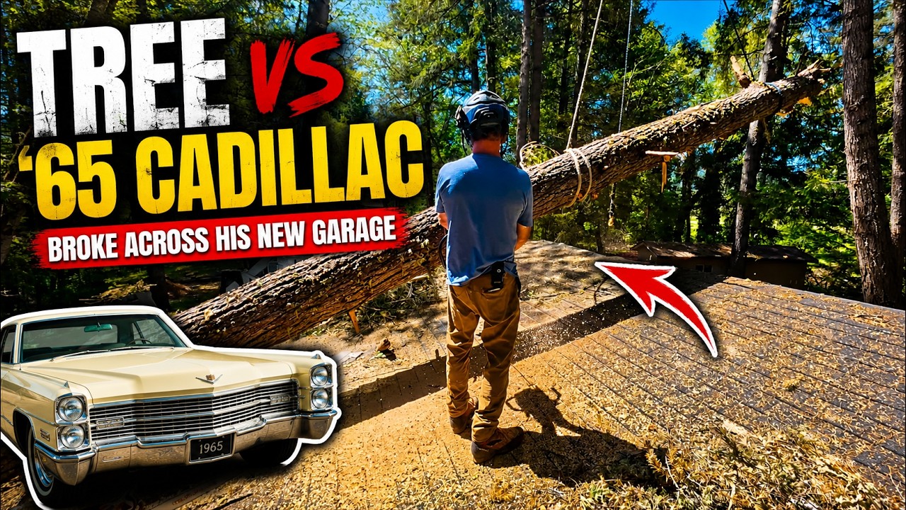 Tree VS Cadillac/ Garage Disaster