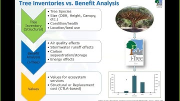 The Ins and Outs of Tree Inventories, UNRI Dec 