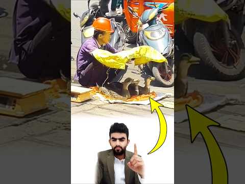من رحم المخلوقات رق قلبه ومن رق قلبه أدرك رحمة الله به   
