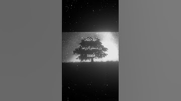 سورة مريم|70-72|القارئ:#محمد_اللحيدان #قران #quran #راحة_نفسية #قران_كريم #تلاوة_هادئة ##تلاوة_خاشعة