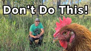 5 Permaculture Mistakes That Cost Me Years And Money